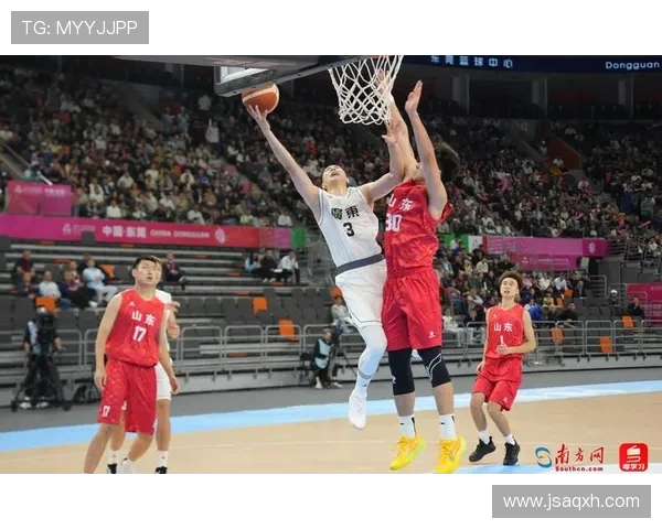 广东CBA篮球队明星球员盘点及表现