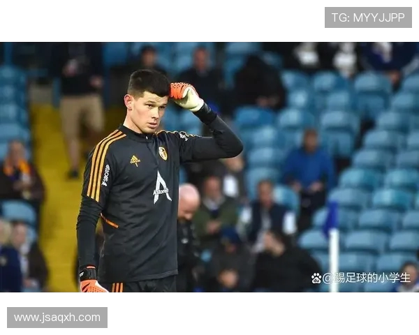 今夏合同到期十大门将身价排行梅斯利耶以1200万欧元领衔榜单